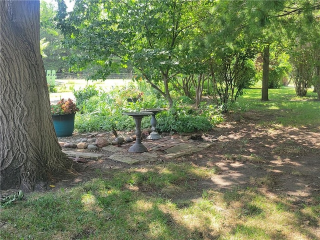 19823 74th St, Mclouth, KS 66054 - view of yard