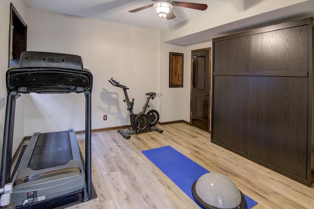 16324 S Locust St, Olathe, KS 66062 - exercise area featuring ceiling fan and light wood-type flooring