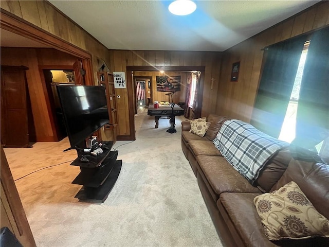 711 Shotwell St, Warrensburg, MO 64093 - photo 6