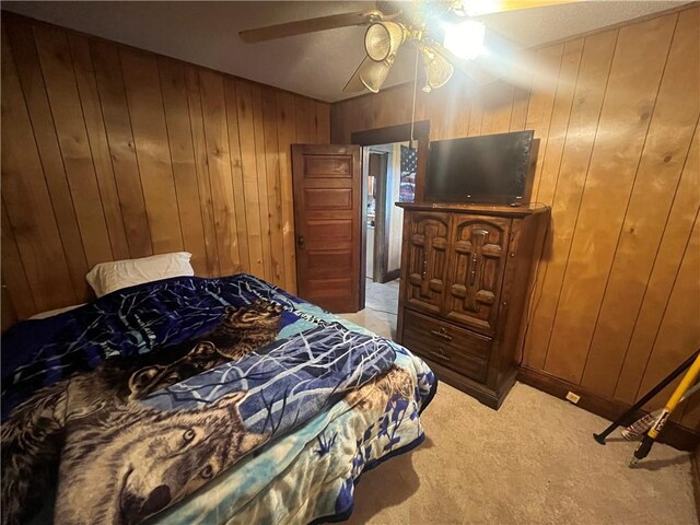 711 Shotwell St, Warrensburg, MO 64093 - photo 13