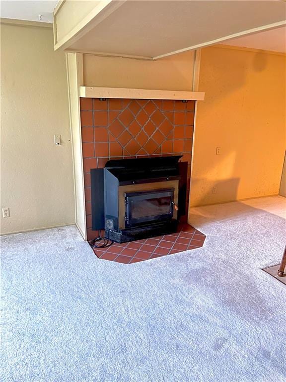 177 1150th St, Humboldt, KS 66748 - detailed view of carpet and a wood stove