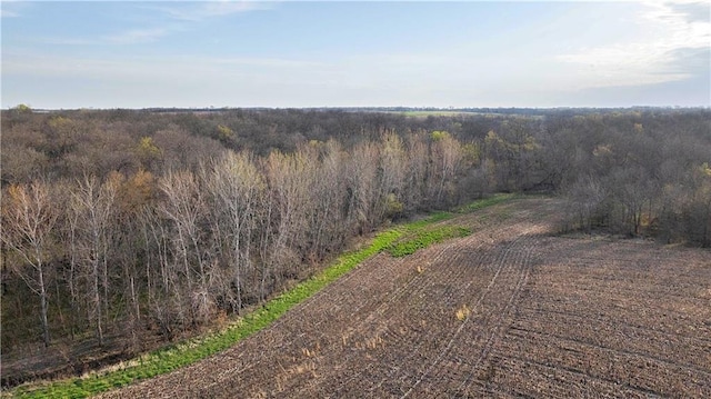 12138 N 262 Nd St, Gilman City, MO 64642 - photo 29
