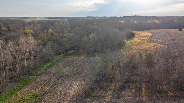 12138 N 262 Nd St, Gilman City, MO 64642 - photo 30