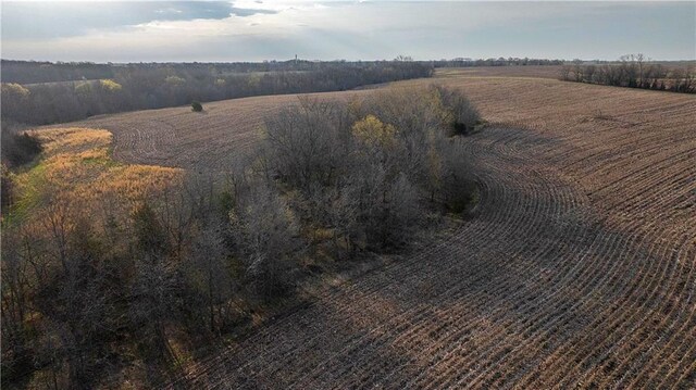 12138 N 262 Nd St, Gilman City, MO 64642 - photo 31