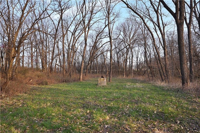 12138 N 262 Nd St, Gilman City, MO 64642 - photo 51