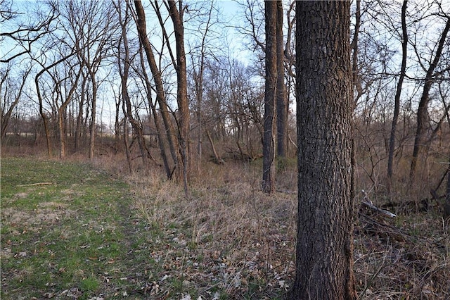 12138 N 262 Nd St, Gilman City, MO 64642 - photo 53
