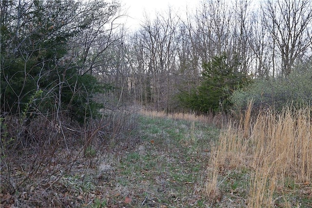 12138 N 262 Nd St, Gilman City, MO 64642 - photo 74