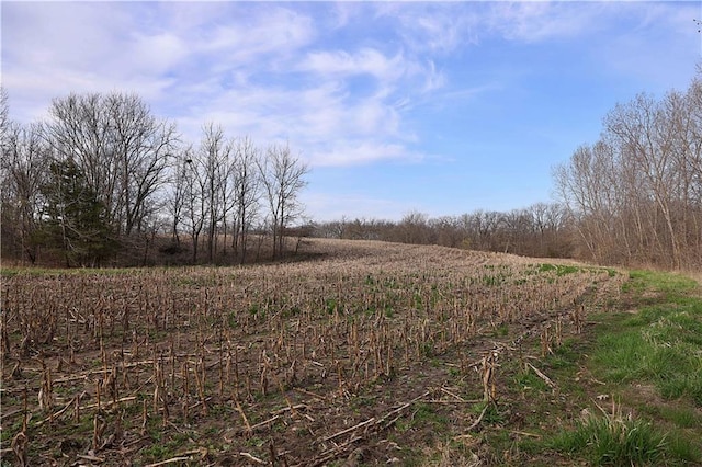 12138 N 262 Nd St, Gilman City, MO 64642 - photo 84