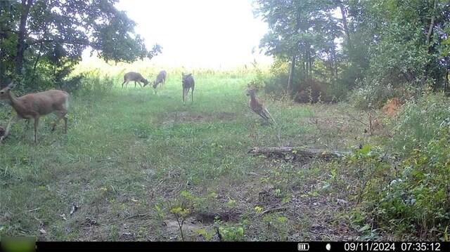12138 N 262 Nd St, Gilman City, MO 64642 - photo 93