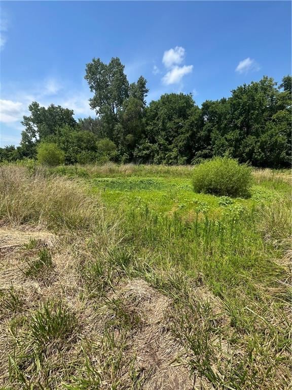 TBD Owl Creek Road, Odessa, MO 64076 - photo 21