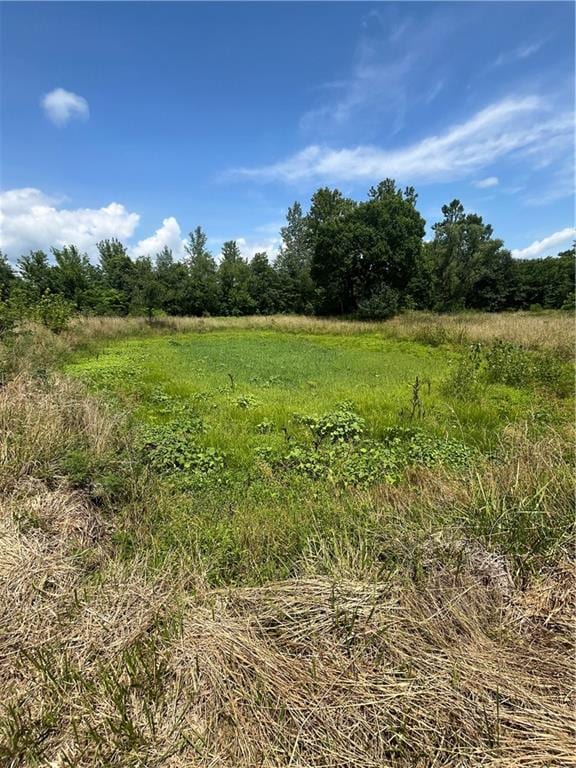 TBD Owl Creek Road, Odessa, MO 64076 - photo 22