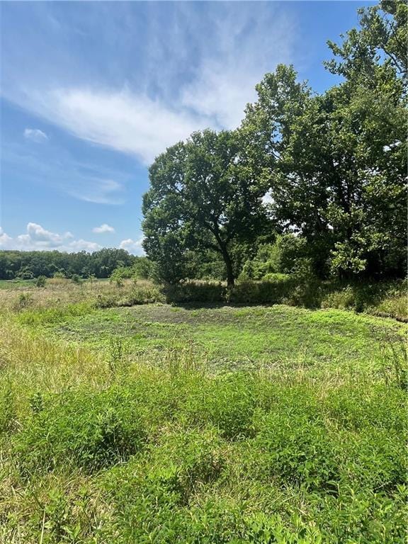 TBD Owl Creek Road, Odessa, MO 64076 - photo 24
