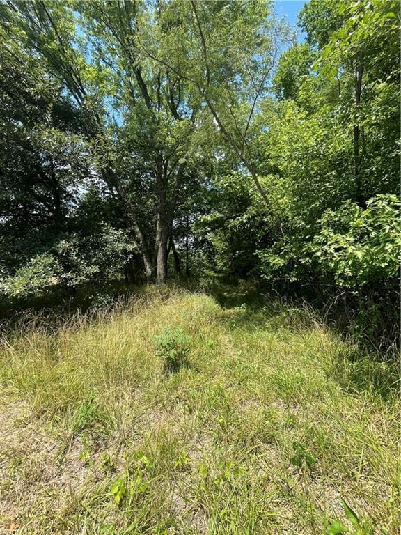 TBD Owl Creek Road, Odessa, MO 64076 - photo 28