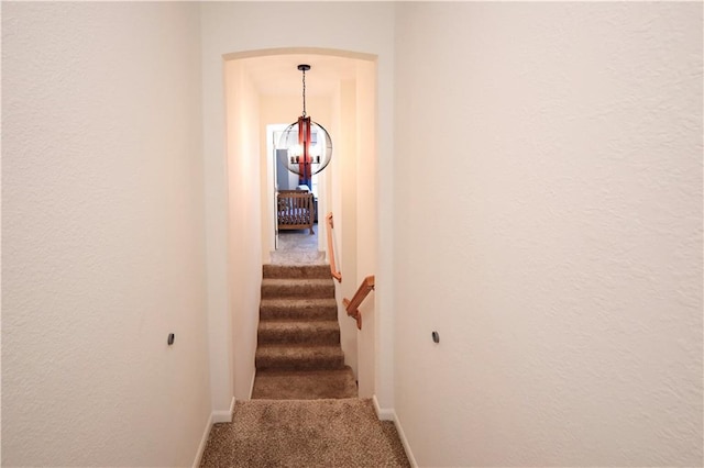 630 SW Shadow Glen Ct, Blue Springs, MO 64015 - photo 18