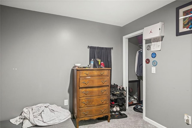 313 Clearview Dr, Pleasant Hill, MO 64080 - photo 21