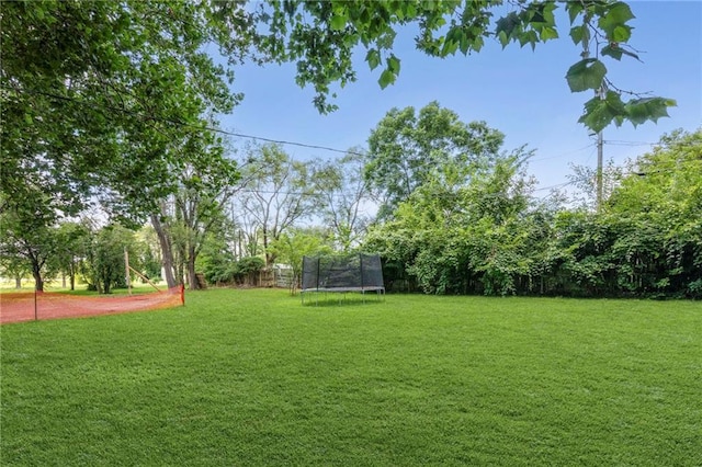 313 Clearview Dr, Pleasant Hill, MO 64080 - photo 30