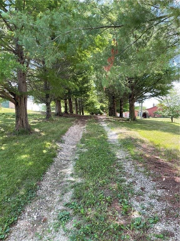 984 750th Rd, Centerview, MO 64019 - photo 38