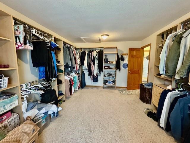 7127 SW Karen Rd, Trimble, MO 64492 - photo 45
