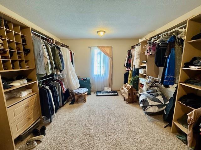 7127 SW Karen Rd, Trimble, MO 64492 - photo 46