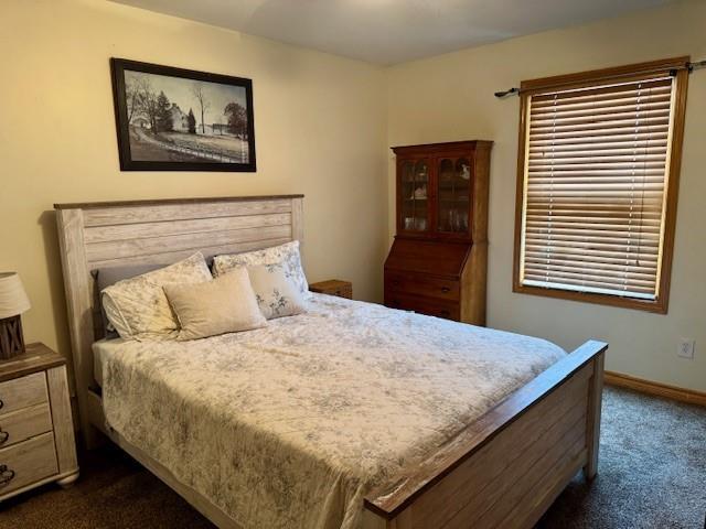 7127 SW Karen Rd, Trimble, MO 64492 - photo 49
