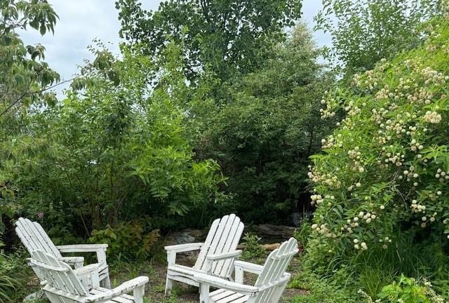 7127 SW Karen Rd, Trimble, MO 64492 - photo 70