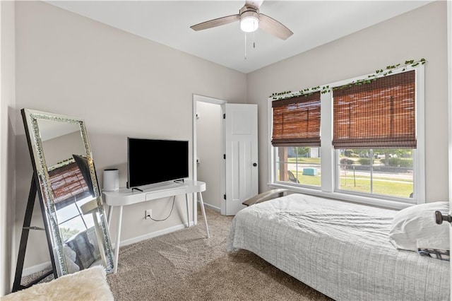 4904 N 126th St, Kansas City, KS 66109 - photo 26
