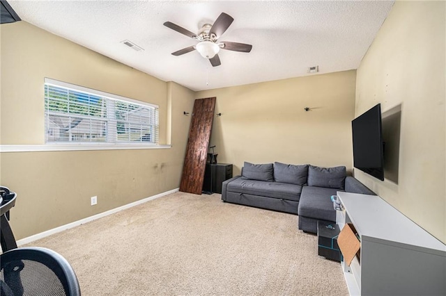 1316 NW 74th Ter, Kansas City, MO 64118 - photo 22