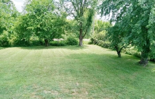 14587 166th St, Bonner Springs, KS 66012 - photo 7