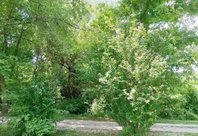 14587 166th St, Bonner Springs, KS 66012 - photo 8