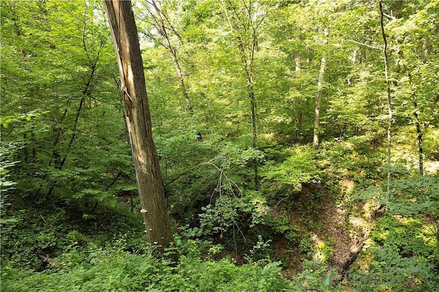 B Hwy, Coffey, MO 64636 - photo 19