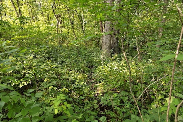 B Hwy, Coffey, MO 64636 - photo 25