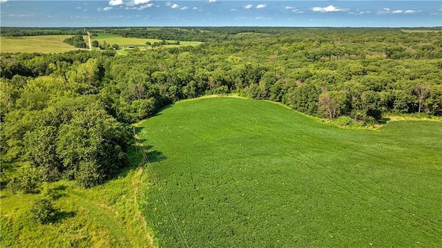 B Hwy, Coffey, MO 64636 - photo 44