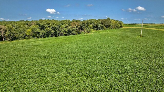 B Hwy, Coffey, MO 64636 - photo 46