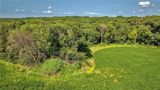 B Hwy, Coffey, MO 64636 - photo 47