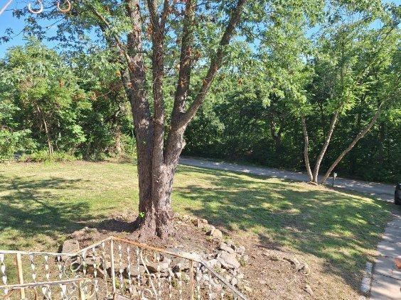 6954 E 47th Ter, Kansas City, MO 64129 - photo 31