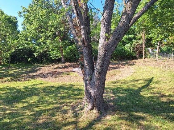 6954 E 47th Ter, Kansas City, MO 64129 - photo 32