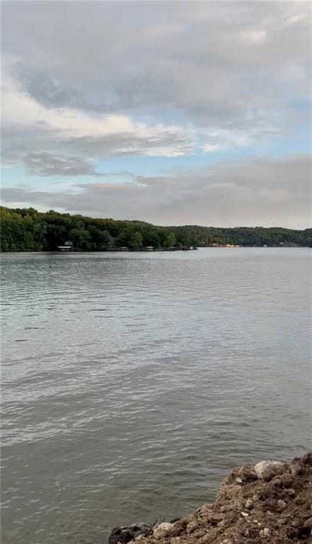 Daybreak Ln, Edwards, MO 65326 - photo 18