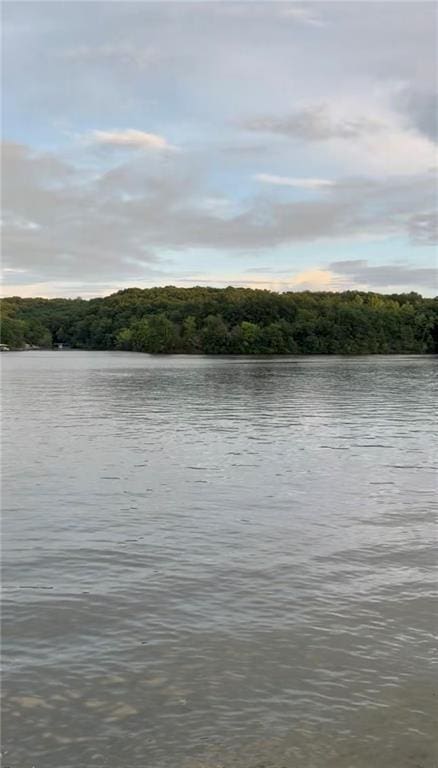 Daybreak Ln, Edwards, MO 65326 - photo 21