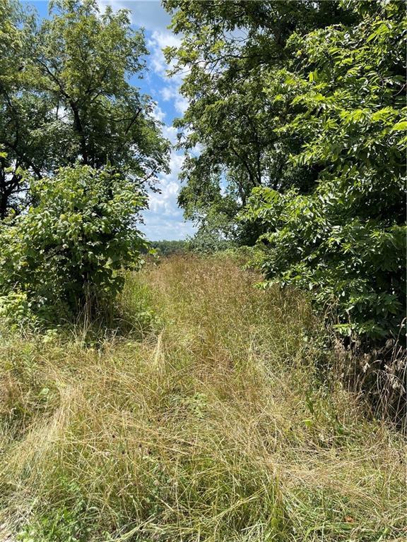 750th Rd, Centerview, MO 64019 - photo 4