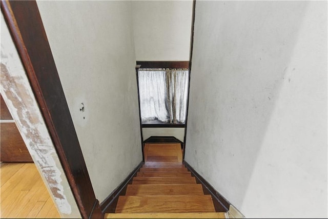 5334 Oak St, Kansas City, MO 64112 - photo 24