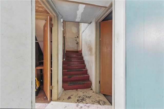 5334 Oak St, Kansas City, MO 64112 - photo 27