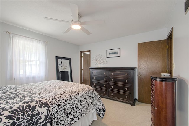 2925 Iva Dr, Independence, MO 64057 - photo 15