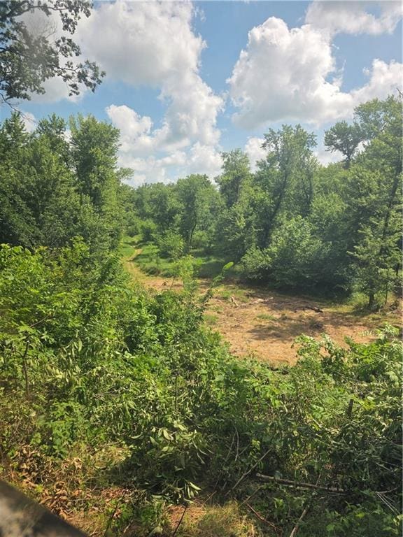 9170 E Hwy, Camden Point, MO 64018 - photo 45
