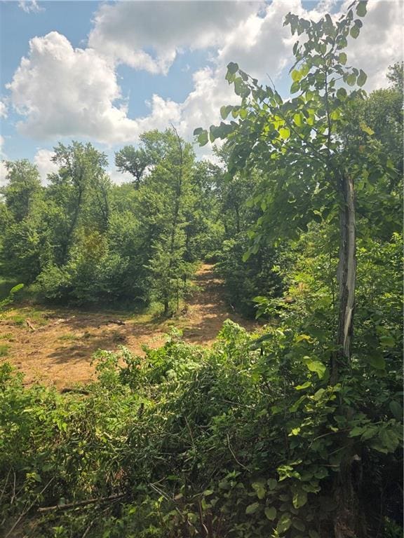 9170 E Hwy, Camden Point, MO 64018 - photo 46