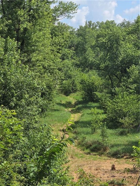 9170 E Hwy, Camden Point, MO 64018 - photo 48