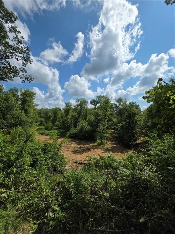 9170 E Hwy, Camden Point, MO 64018 - photo 49