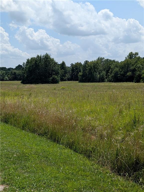 Jackson St, El Dorado Springs, MO 64744 - photo 1