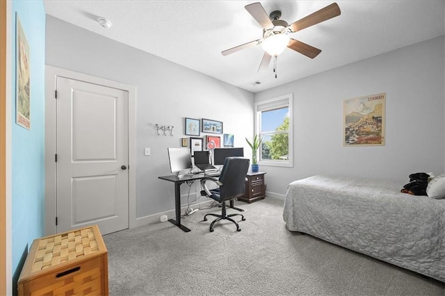 24299 W 109th Ter, Olathe, KS 66061 - photo 25