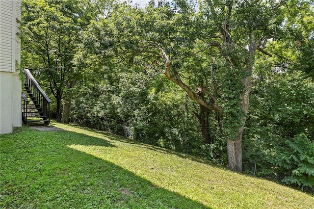 1900 NE 80th St, Kansas City, MO 64118 - photo 38