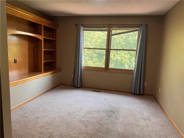 1317 E Sleepy Hollow Dr, Olathe, KS 66062 - photo 33